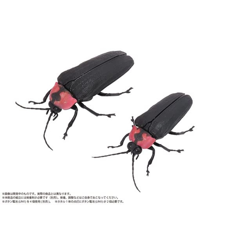 Genji Firefly (Female & Male Pair)