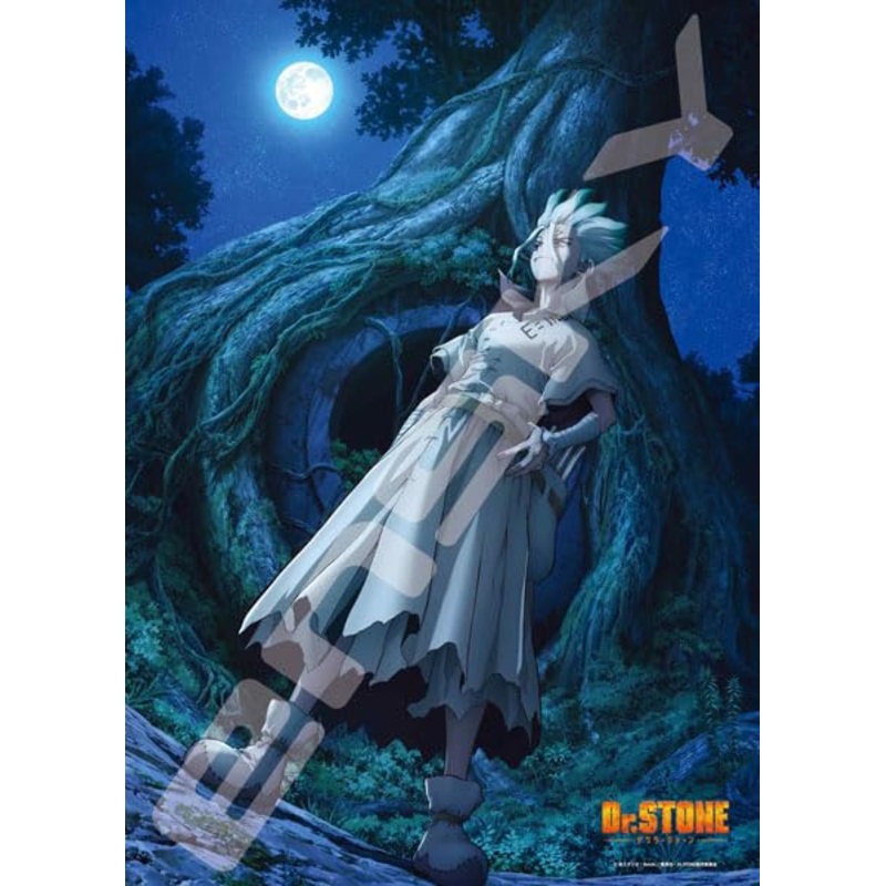"Dr. Stone" Jigsaw Puzzle 500 Piece 500-546 New World