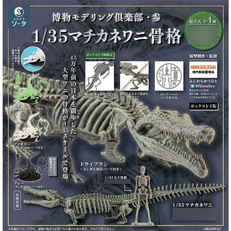 Natural History Modeling Club 3 1/35 Toyotamaphimeia Machikanensis Skeleton