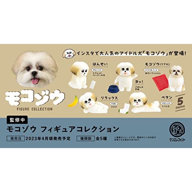 Mocozo Figure Collection Box