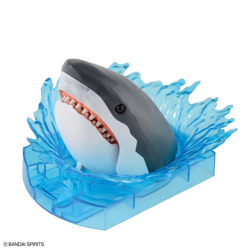 Exploring Lab Great White Shark