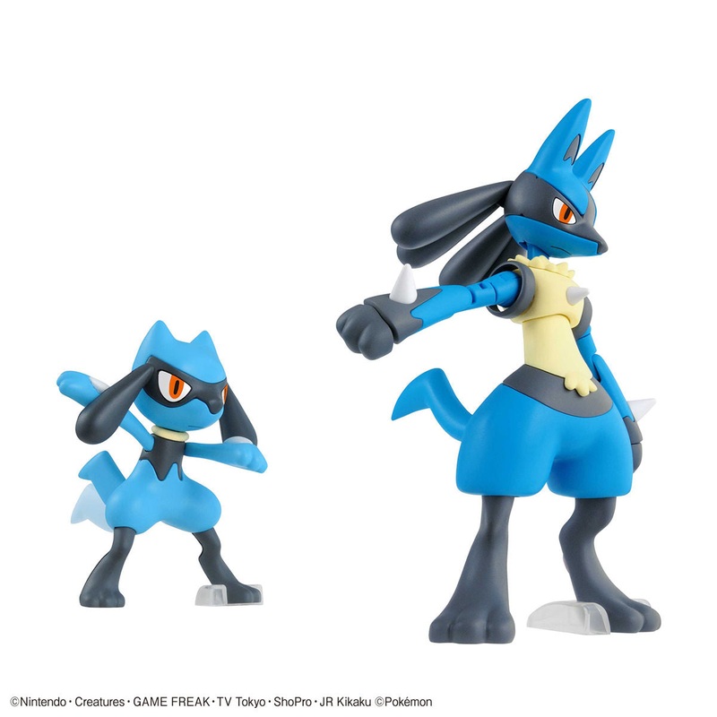 Pokmon Riolu & Lucario