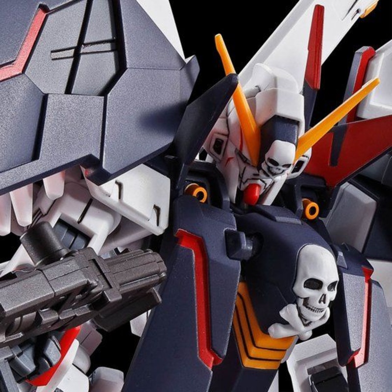 HG Gundam Crossbone X-1 Full Cloth  - P-Bandai 1/144