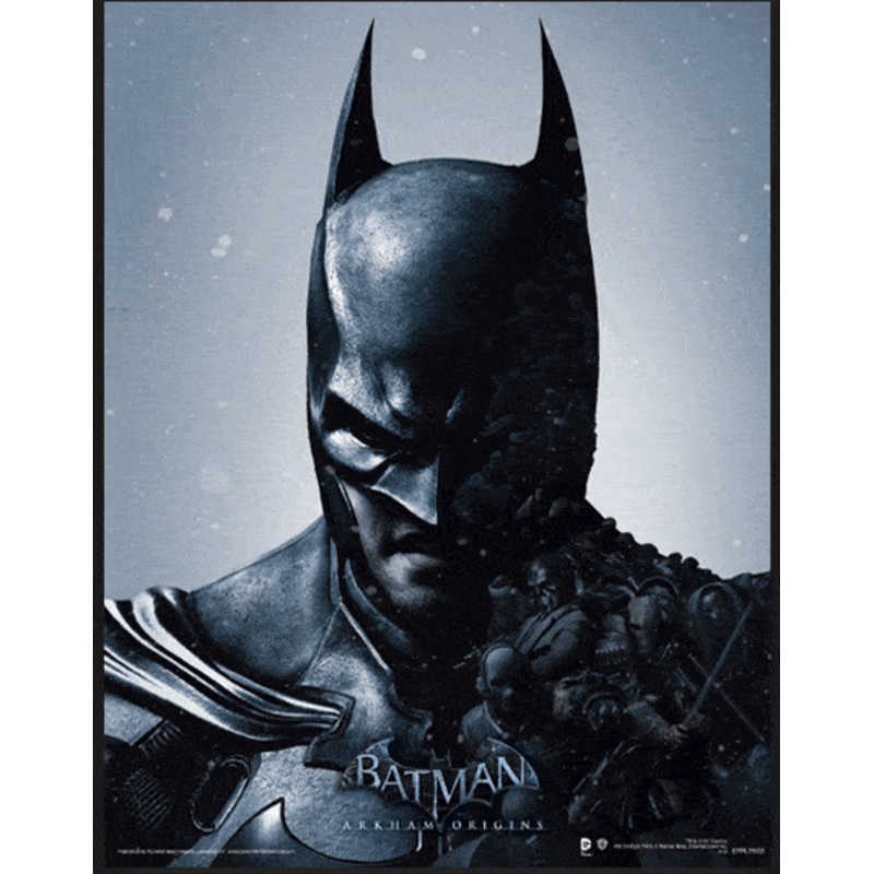 Batman Arkham Origins Framed 3D Effect Poster Pack Batman vs. Joker 26 x 20 cm (3)