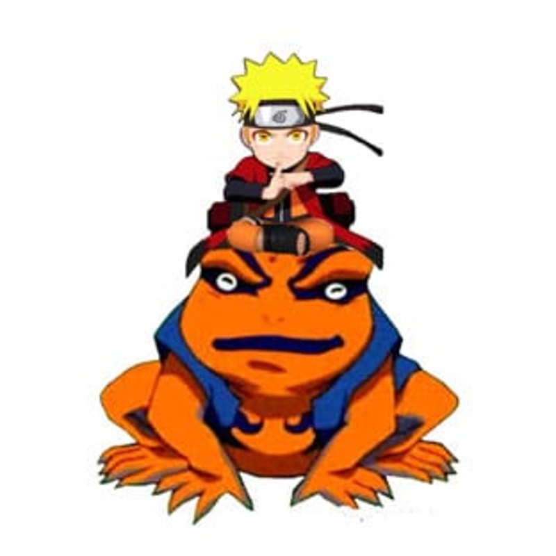 Naruto Shippuden Light Naruto and Gamakishi 20 cm