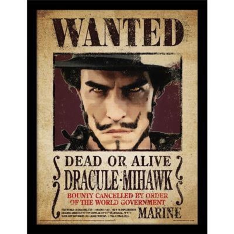 ONE PIECE NETFLIX - Dracule Mihawk - Impression encadre 30x40cm