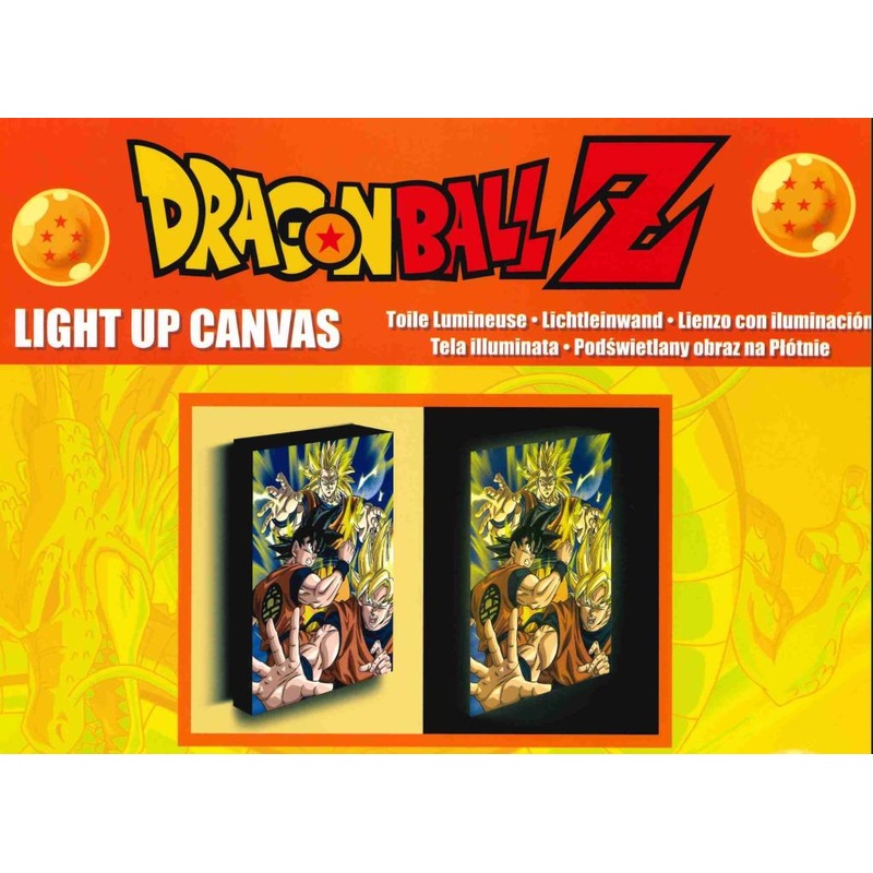 DRAGON BALL Z - Goku Evolution - Canvas Lumineux 40X30 Cm