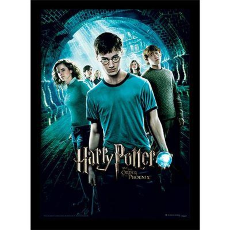 HARRY POTTER - L'Ordre du Phnix - Impression encadre 30x40cm
