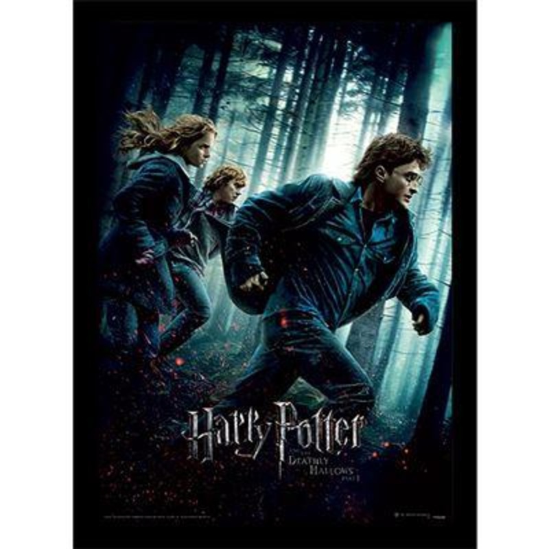 HARRY POTTER - Reliques de la Mort Part 1 -Impression encadre 30x40cm